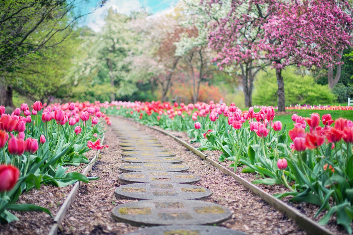 How To Choose The Perfect Landscaper For Your Yard